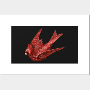 Cardinal Bird Posters and Art